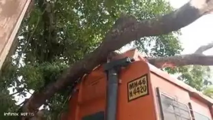 शोहरतगढ़: चिल्हिया रेलवे क्रासिंग फाटक के पास मेन रोड पर ट्राले पर गिरा पेड़, ट्राला हुआ क्षतिग्रस्त