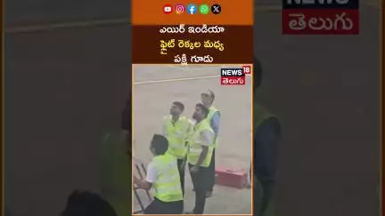 Air India flight from Mumbai to Bangkok found a bird's nest between its wings | ఎయిర్ ఇండియా | N18S