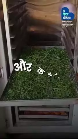 कभी मजदूरी की आज किसान बन दे रही हैं रोज़गार | Vandana Tekale | Female Farmer | Maharashtra