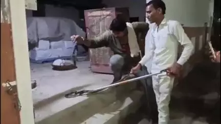 सागर नगर: बारिश में निकले जहरीले जीव, सर्प विशेषज्ञ बबलू पवार ने एक रात में 3 सांपों का किया रेस्क्यू