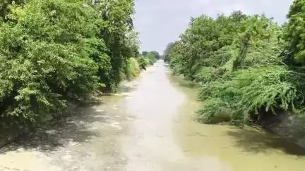 बल्दीराय: शारदा सहायक खंड 16 नहर में पानी आने से किसानों के चेहरे खिले, जल्द करेंगे धान की रोपाई