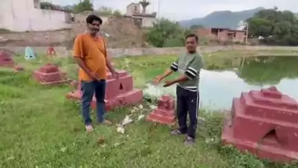पंचकूला: कांगुवाला तालाब बना गंदगी का अड्डा, छठ पर्व से पहले स्वच्छता के प्रयास नहीं दिखने से मरी मछलियां