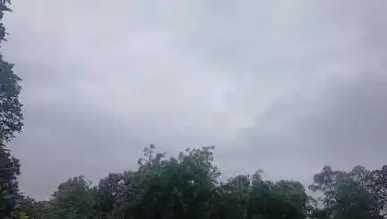 ଝାରସୁଗୁଡା: ବର୍ଷା ଏବଂ ବଜ୍ରପାତ କୁ ଦୃଷ୍ଟିରେ ରଖି ଆଜି ଝାରସୁଗୁଡା ଜିଲ୍ଲା କୁ ଇୟେଲୋ ୱାରନିଙ୍ଗ ଜାରି କରିଛି ପାଣିପାଗ ବିଭାଗ