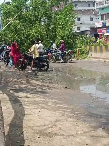 ara bajar samiti ke Bagal me men Road par hi kadam ka ped gir gaya jisse aam traphi Pura jam  ho traffic prasasan n aya