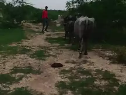 87786776787778767776866866776