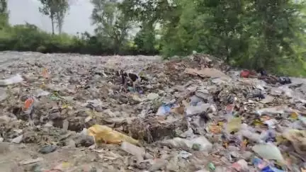 खलीलाबाद: ग्राम बड़गो में नगर पालिका के कूड़े से बीमार हो रहे हैं लोग, दो दिन में दो गाय की मौत #jansamasya