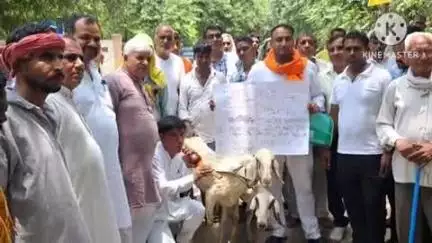 सोनीपत: लघु सचिवालय परिसर में जिला परिषद की बैठक से पहले मांगों को लेकर भेड़ के आगे बीन बजाकर प्रदर्शन
