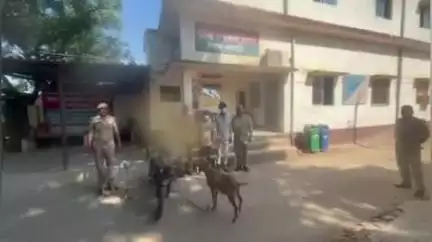 जमुनहा: थाना हरदत्त नगर गिरन्ट क्षेत्र से दो आरोपियों को गिरफ्तार, चोरी की दो बकरियां व मोटरसाइकिल बरामद