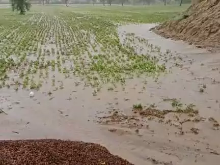 सेरूणा गांव के उत्तराधिरोही में बारिश जहां दो दिनों से बारिश लगातार चल रही है मैं