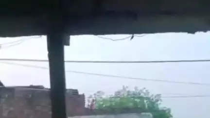 फतेहाबाद: निबोहरा के ग्राम डंडनिया पुरा में मारपीट के बाद पुत्र ने पिता को छत से फेंका, विपक्षियों को फसाने का आरोप, वीडियो वायरल