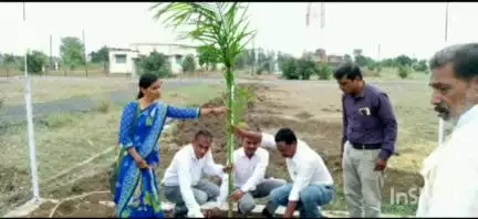 कुही: म्हसली पुनर्वसन येथे ग्रामपंचायतच्या वतीने वृक्षारोपण