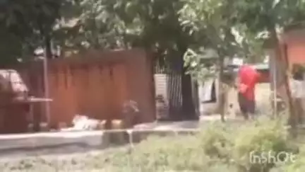 देेेवरिया: सततुआ बुजुर्ग गांव में विवाहिता ने 2 साल के बच्चे को कमरे से बाहर निकालकर दुपट्टे के सहारे फांसी लगाकर की आत्महत्या