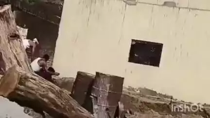 कायमगंज: गांव सलेमपुर दूदेमई में दबंगों ने खुलेआम दबंगई करते हुए ग्राम समाज की जमीन पर किया कब्जा