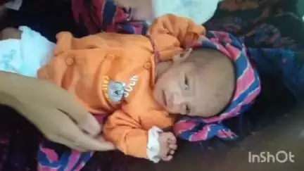ताल: असावती से मंदसौर तक अधूरी नदी पर बनी सड़क बनी मुसीबत, कीचड़ में फंसी एंबुलेंस, वीडियो वायरल