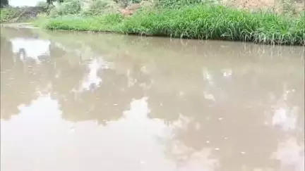 चरखी दादरी: गांव धनासरी की फिरनी पर दूषित जलभराव होने से ग्राणीण हुए परेशान, समाधान की उठाई मांग #jansamasya