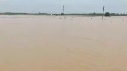 अम्बाला: मुलाना क्षेत्र में बेगाना नदी उफान पर, कई गांवों की भूमि जलमग्न, किसान चिंतित