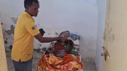 बोलबा: बोलबा के कादोपानी गांव में जहरीले सांप के काटने से महिला की मौत, सिमडेगा अस्पताल में चल रहा था इलाज