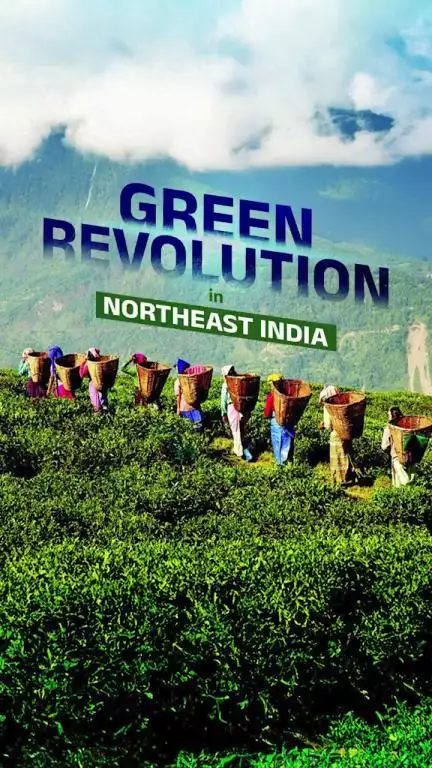 From organic farming to sustainable innovations, Northeast India is leading a silent green revolution