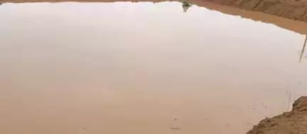 चुरहट: चुरहट क्षेत्र में दो दिनों से रुक-रुक कर बारिश होने से खेत तालाब जैसे दिख रहे हैं