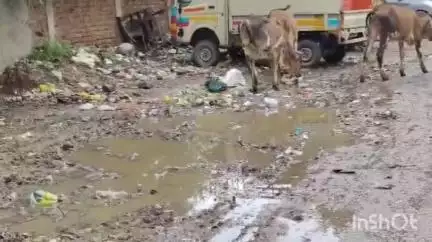कोपरगाव: एस.जी. विद्यालय परिसरात घाणीचे प्रचंड साम्राज्य, नागरिकांकडून आंदोलनाचा इशारा #jansamasya