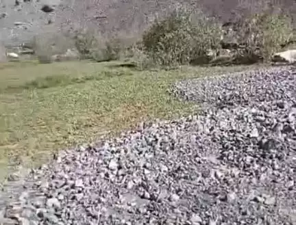 स्पीति: क्याटो गांव में बाढ़ से खेत और कूहल क्षतिग्रस्त, स्थानीय लोगों ने प्रशासन से उठाई जल्द मरम्मत कराने की मांग