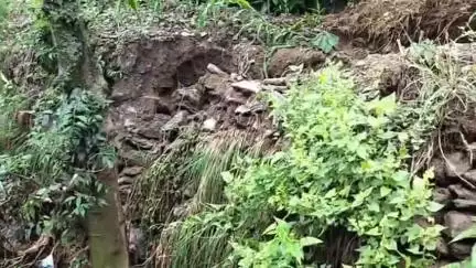 चुराह: भारी बारिश के कारण गांव देहरा में मक्की की फसल को हुआ नुकसान, किसान परेशान