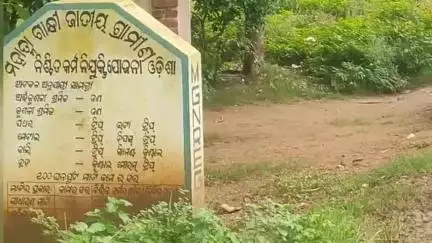 ରାୟଗଡା: ମଣ୍ଡଳ ପିତେସୁ ଗ୍ରାମର ରାସ୍ତାର ଅବସ୍ଥା ଶୋଚନୀୟ,ପକ୍କା ରାସ୍ତା ପାଇଁ ଦାବି କଲେ ଲୋକେ #jansamasya