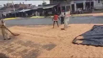 ताखा: इटावा जिले में रुक-रुक कर हल्की और तेज बारिश ने किसानों की मुश्किलें बढ़ाई
