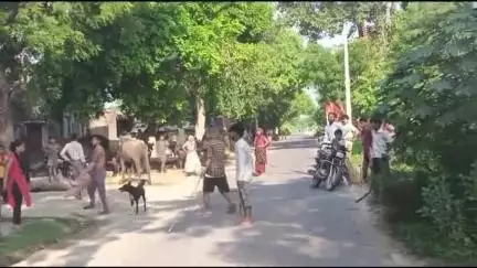 जसवंतनगर: नगला विशुन में कुत्तों को लेकर 2 पक्षों में विवाद के दौरान हुई मारपीट, लाठी-डंडों से 8 लोग हुए घायल