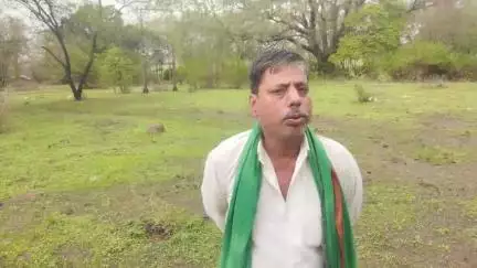 मूंग खरीदी के लिए धन्यवाद लेकिन फायदा किसको