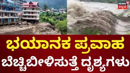 Himachal Pradesh Floods | ಹಿಮಾಚಲ ಪ್ರದೇಶದಲ್ಲಿ ಮೇಘಸ್ಫೋಟದಿಂದ ಭಾರಿ ಸಮಸ್ಯೆ | Trees Fall Down