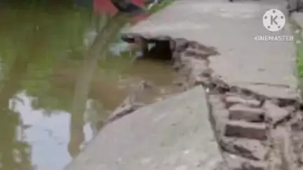 মগরাহাট ১: উস্তি গ্রাম পঞ্চায়েতের ১০৯ নম্বর বুথে একটি কংক্রিটের রাস্তার বেশ কিছু অংশ ধসে পড়ে যায় পুকুরে