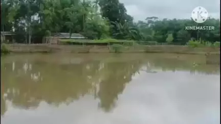 মৰিয়নি: নাগাজাংকাৰ কেইবাটাও অঞ্চলত কৃত্ৰিম বান, লোকনিৰ্মাণ বিভাগৰ গাফিলতিৰ বাবেই বুৰিল প্ৰায় ৫০ বিঘা খেতিপথাৰ #jansamasya