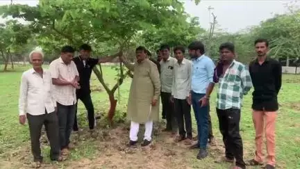 માળીયા: માળીયા મીયાણાના અણીયારી ગામે ગ્રામ પંચાયત નિર્મિત આયુર્વેદિક બગીચામાં વૃક્ષારોપણ કરતા ધારાસભ્ય...