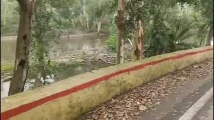 आबू रोड: माउंट आबू में 55 लाइट पोल के साथ रोशनी से जगमगाएगा हॉलिडे होम से देलवाड़ा तक का रोड, कार्य का लिया गया जायजा