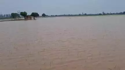 अम्बाला: अंबाला: खेतों में पानी भरने से किसानों की फसल हुई नष्ट