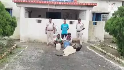 ग्राम केरमेली में 20 लीटर अवैध कच्ची महुआ शराब के साथ डोंगरीपाली पुलिस ने दो आरोपियों को किया गिरफ्तार