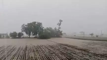 मंदसौर: झमाझम बारिश से नयापुरा शुक्ला चौक और अन्य इलाकों की सड़कें बनी तालाब