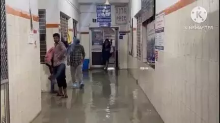 नीमच नगर: जिला अस्पताल के मेटरनिटी वार्ड में रात में भरा पानी, सिविल सर्जन ने वार्ड सहित अन्य जगहों का किया निरीक्षण