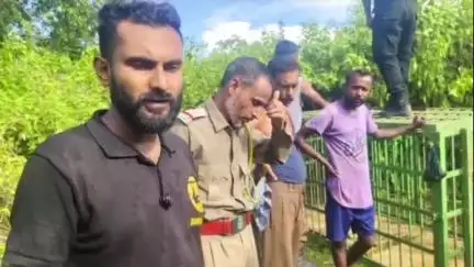 শিলচর: বাঘের আক্রমণে গরুর মৃত্যু হলেও মানুষের মৃত্যু হয়নি, ময়নাগড় চা-বাগানে জানালেন বনবিভাগের আধিকারিক