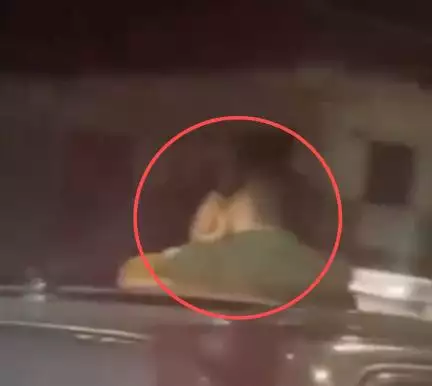 हिमाचल प्रदेश में हरियाणा के कपल ने गाड़ी के सनरूफ से बाहर निकलकर की अश्लील हरकत, वीडियो हुआ वायरल