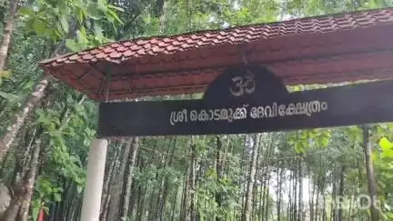 നിലമ്പൂർ: അമരമ്പലത്ത് സ്ഥിര താമസമാക്കി കരടി, നടപടി എടുക്കാത്തതിൽ പ്രതിഷേധം ശക്തമാകുന്നു #localissue