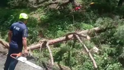 चमोली: गोपेश्वर फायर सर्विस की टीम ने गोपेश्वर नगर में गिरे पेड़ काटकर नागरिकों की राह आसान की