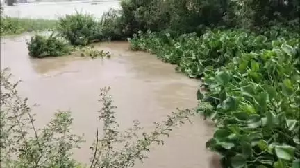 थानेसर: गांव रामगढ़ में सरस्वती नदी के बढ़ते जलस्तर से किसान परेशान, नदी की सफाई न होने पर जताई चिंता