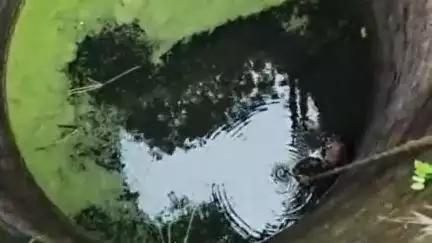 दारू: जोन्हिया मोड के पास कुएं में मिला युवक का शव, क्षेत्र में हड़कंप, सोना पहरी से पूजा कर लौट रहा था युवक