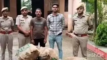 वल्लभनगर: वल्लभनगर थाना पुलिस ने 1 क्विंटल 625 ग्राम अवैध हरे गांजे के पौधे किए ज़ब्त, एक आरोपी गिरफ्तार