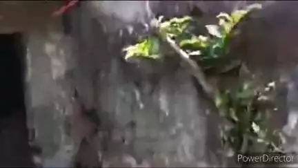 किच्छा: रोडवेज बस स्टैंड के निकट मिला एक युवक का शव, पुलिस ने पोस्टमार्टम के लिए भेजा