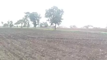 मोहोळ: शेताच्या बांधाच्या कारणावरून परमेश्वर पिंपरीत एकाला बेदम मारहाण, उपचारासाठी शासकीय रुग्णालयात दाखल