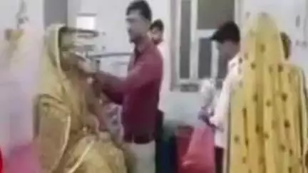 विराटनगर कस्बे में बंदरों का आतंक, एक महिला को किया घायल