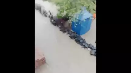 चिखली: शेलगाव देशमुख रस्त्यावरील नदीला पूर; पाच जण पुरात अडकले, प्रशासनाचे मदत कार्य सुरू